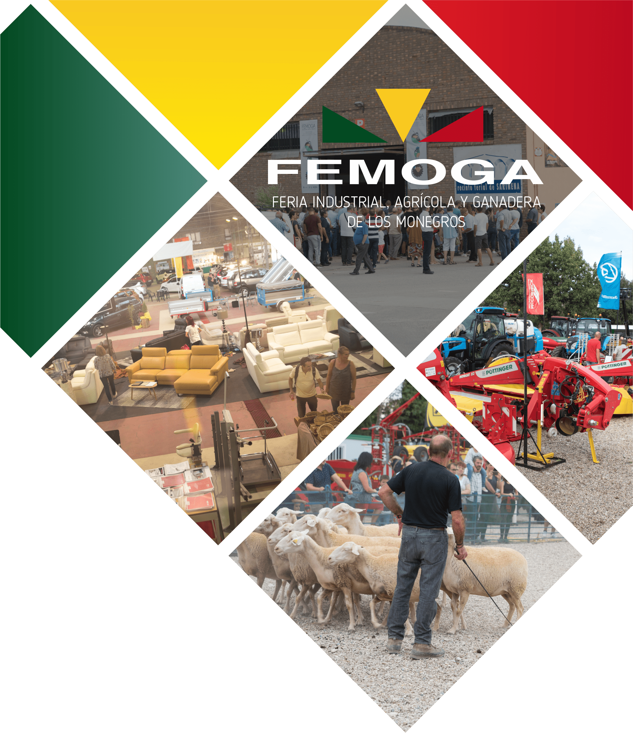 femoga-boa femoga-boa