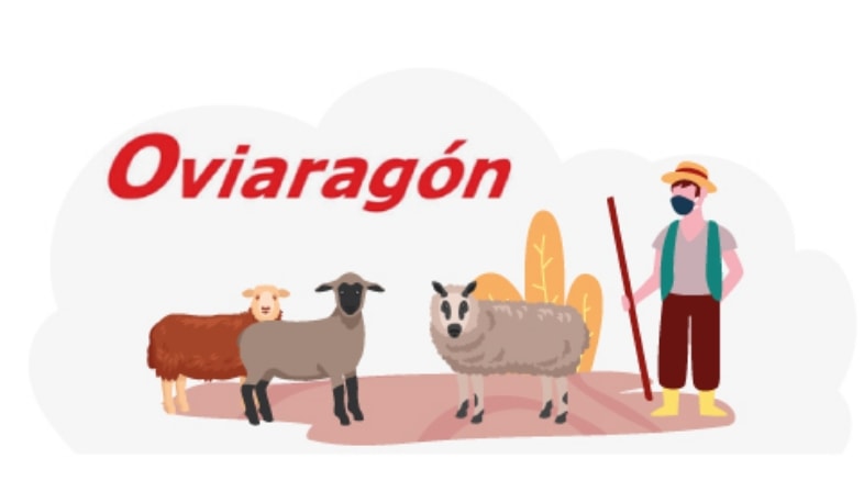 oviaragon