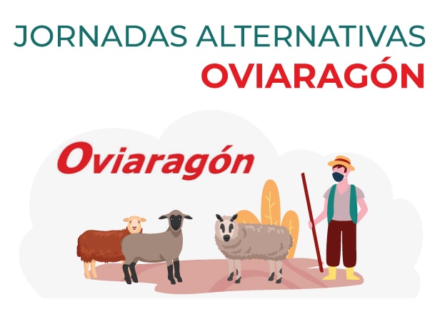 0510202094700 0510202094700