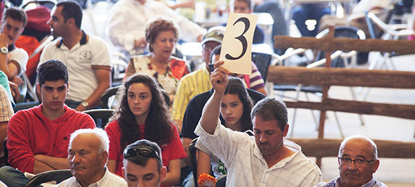 0610202093225 0610202093225