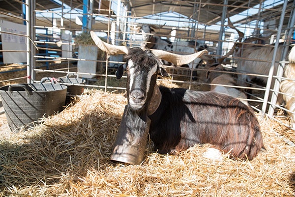 0710202092220 0710202092220