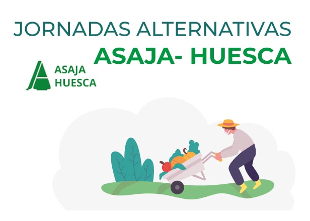 3009202094138 3009202094138