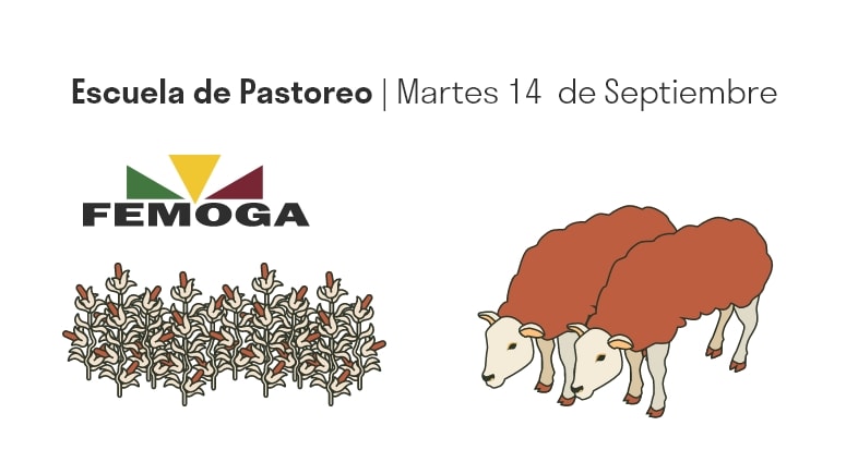 femoga-pastoreo