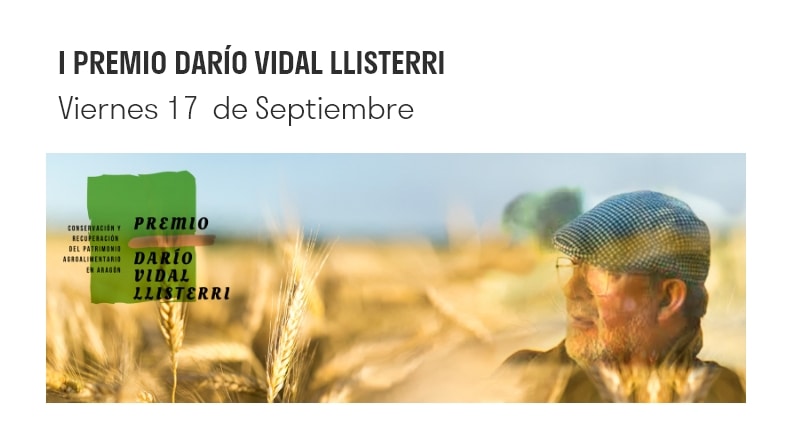 premio dario vidal