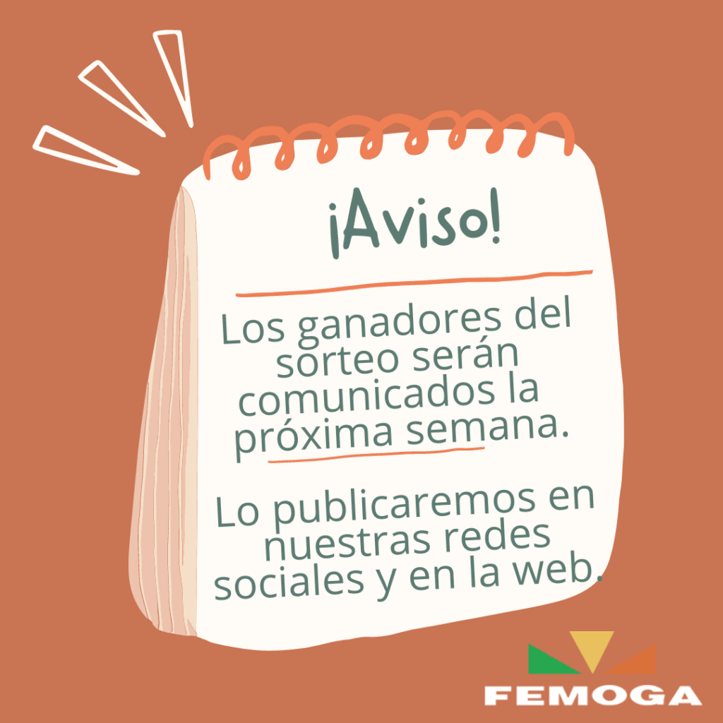 femoga-sorteo