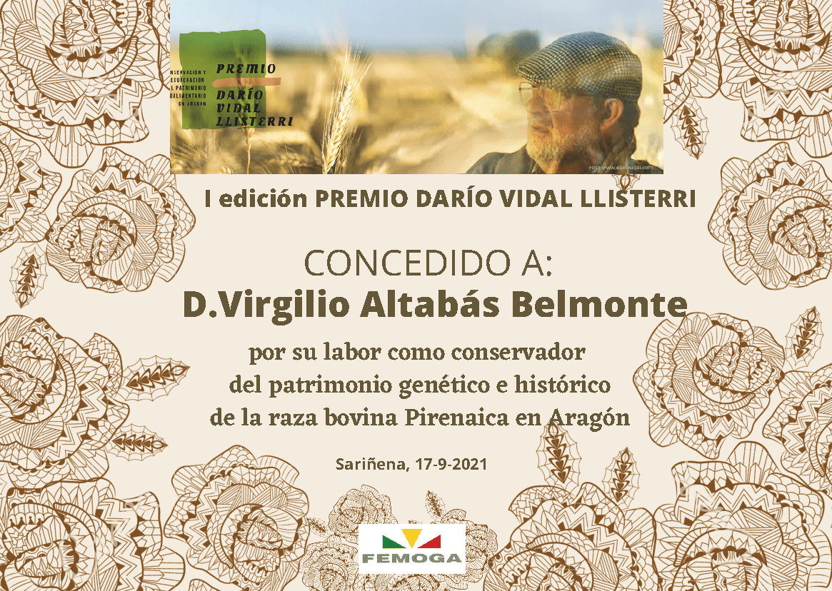 diploma ganador-ok diploma ganador-ok