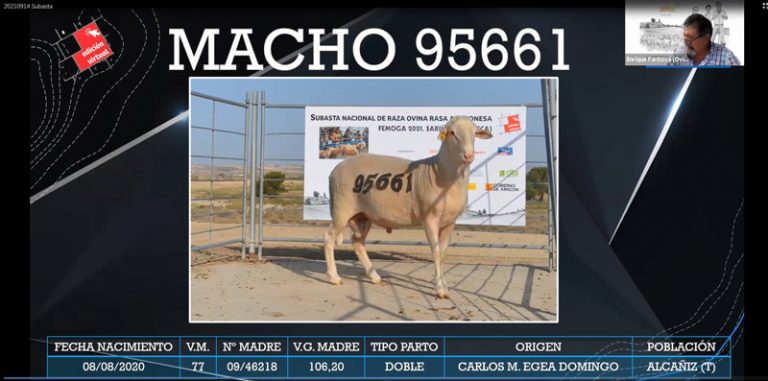 fotos_subasta_2-web-768×381 fotos_subasta_2