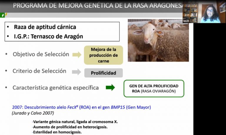 jornadas tecnicas jornadas tecnicas