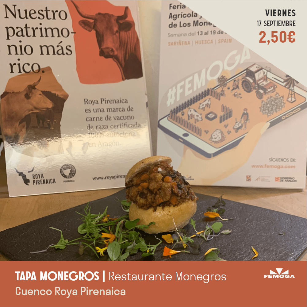 tapa-monegros tapa-monegros