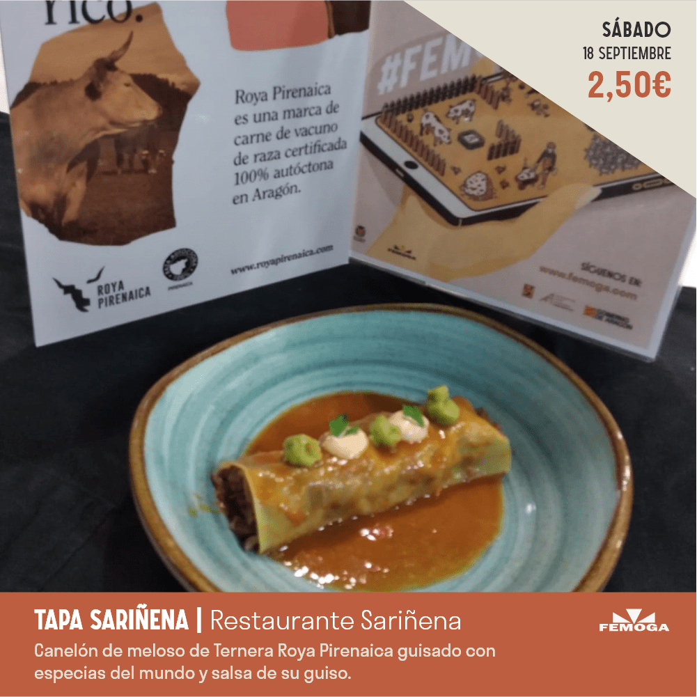 tapa-sariñena tapa-sariñena
