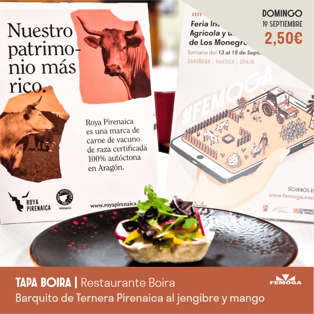 tapa_boira tapa_boira