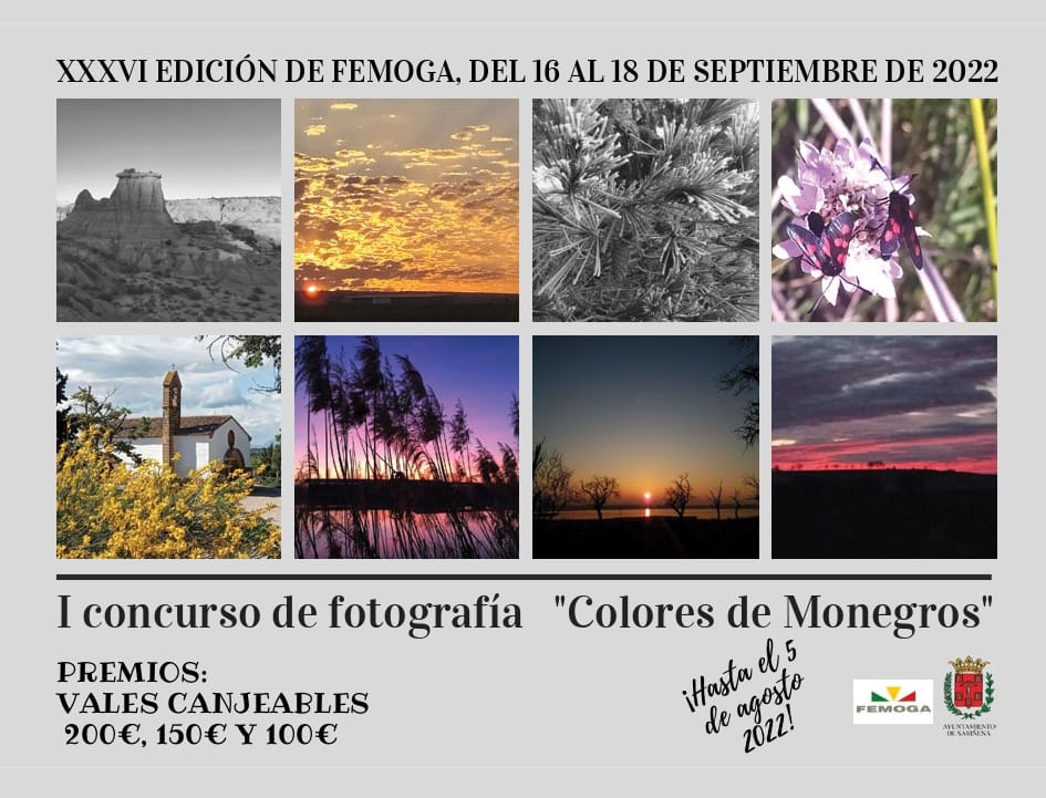 Concursos Fotografía Digital 2022